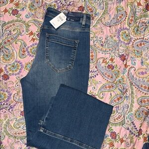 J. Jill Classic Blue Denim Jeans
